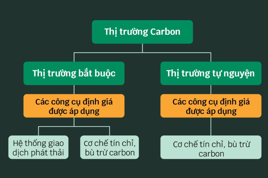 Thị trường tín chỉ carbon được chia thành 2 loại là thị trường bắt buộc và thị trường tự nguyện