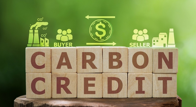 Thị trường tín chỉ carbon đang hình thành làn sóng chuyển đổi mới cho doanh nghiệp Việt Nam