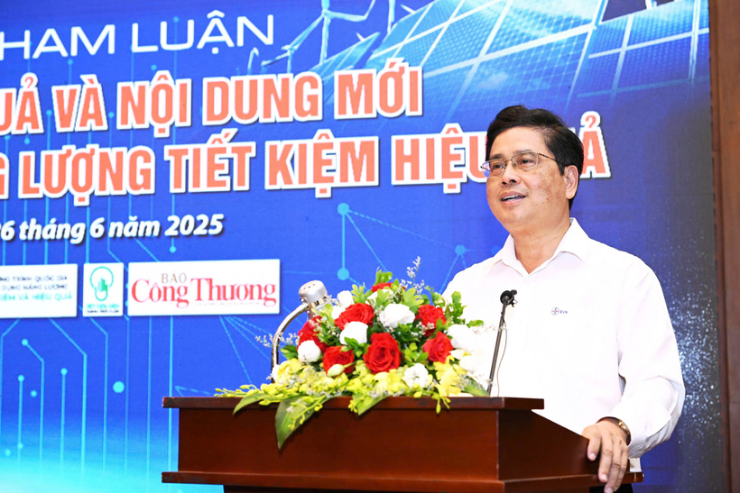 Ông Võ Quang Lâm, Phó Tổng giám đốc Tập đoàn Điện lực Việt Nam (EVN) phát biểu tại Diễn đàn