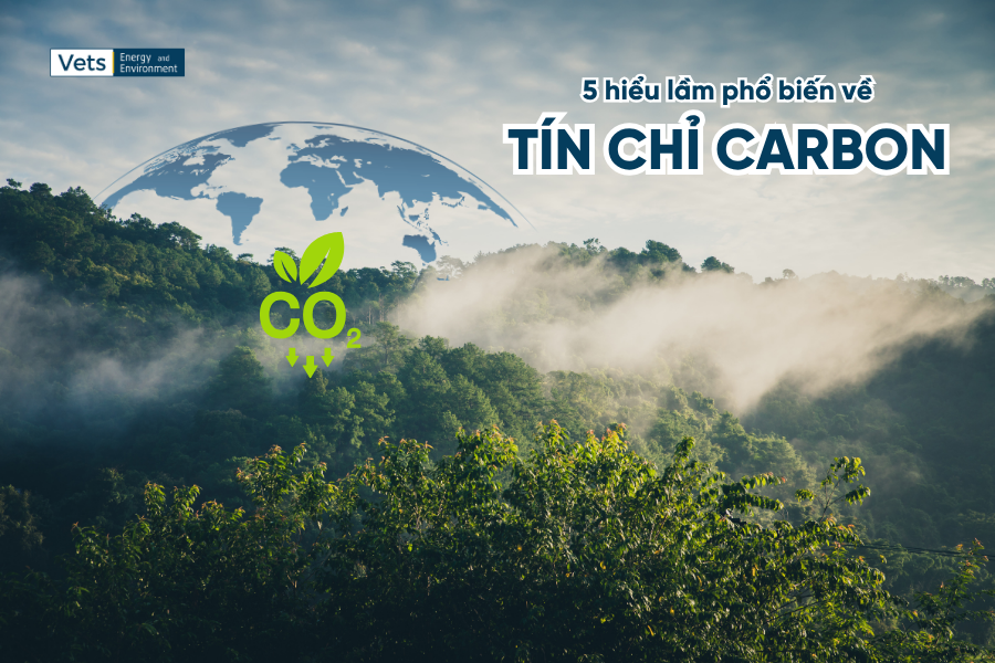 5 Hiểu Lầm Phổ Biến Về Tín Chỉ Carbon