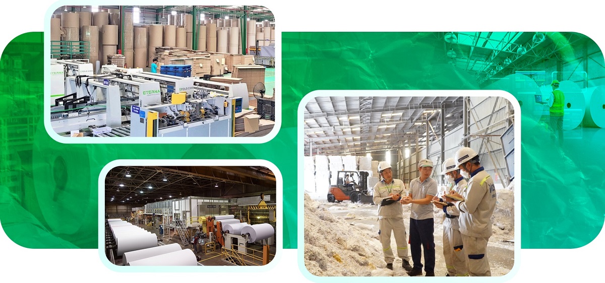 Đội ngũ VETS | EnE tư vấn và hỗ trợ doanh nghiệp sản xuất giấy tìm giải pháp tiết kiệm năng lượng trong sản xuất